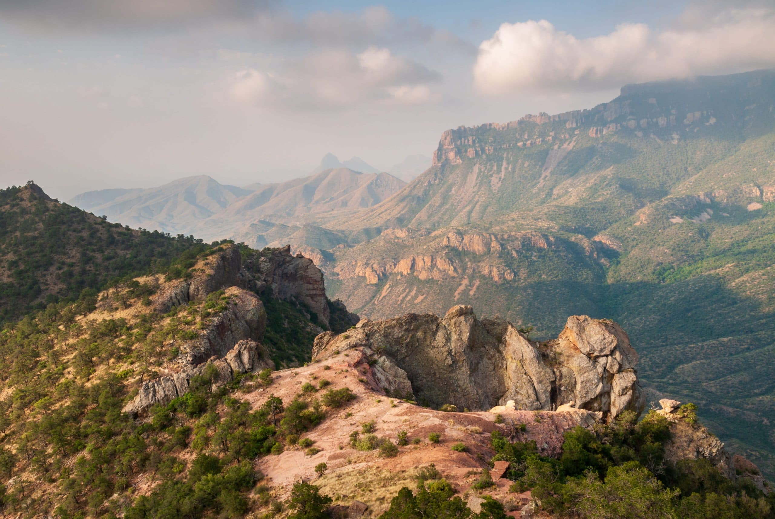 Green ridges in the Chinati foothills